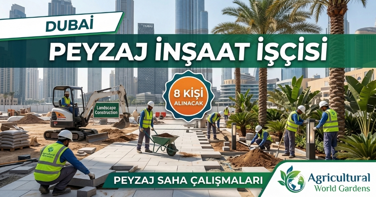 Dubai’de Peyzaj İnşaat İşçisi Alımı | Maaş: 1200–1800 Dirhem | E-posta Başvuru