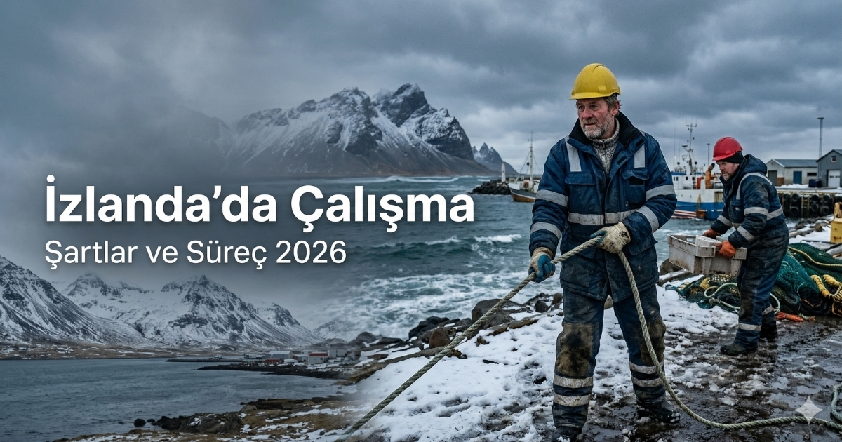 İzlanda’da Çalışmak: Küçük Ülke, Sıkı Kurallar