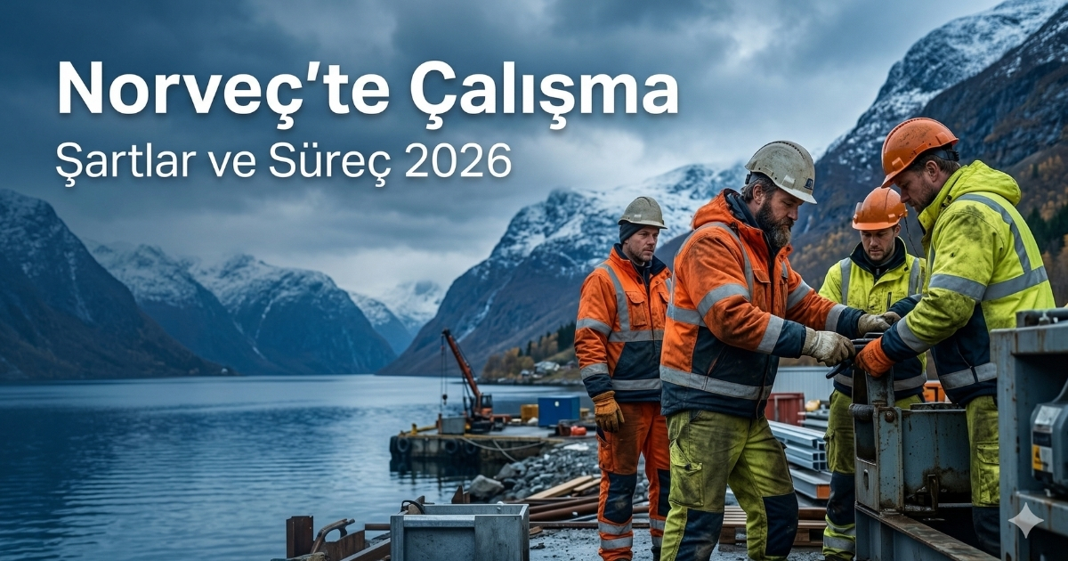 Norveç’te Çalışmak: Yüksek Maaş, Sıkı Kurallar